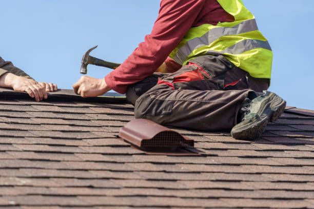 Best Metal Roofing Contractor  in Napavine, WA