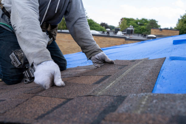 Best Tile Roofing Contractor  in Napavine, WA