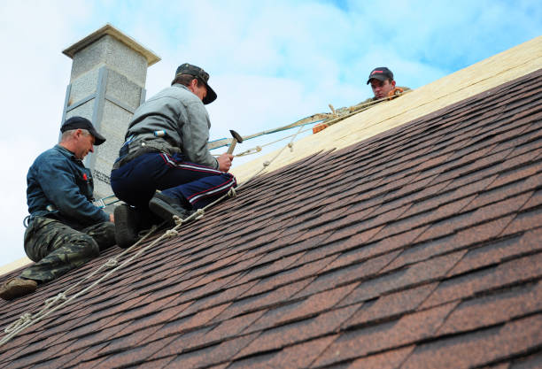 Best Roof Maintenance Services  in Napavine, WA