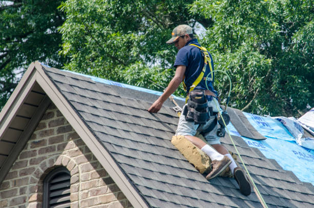Best Roof Waterproofing Services  in Napavine, WA